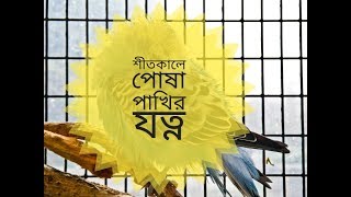 শীতকালে পোষা পাখির যত্ন এবং কিছু সতর্কতা সহ বিভিন্ন গোপন তথ্য নিয়ে আজ পার্ট:- ২ ভিডিও।