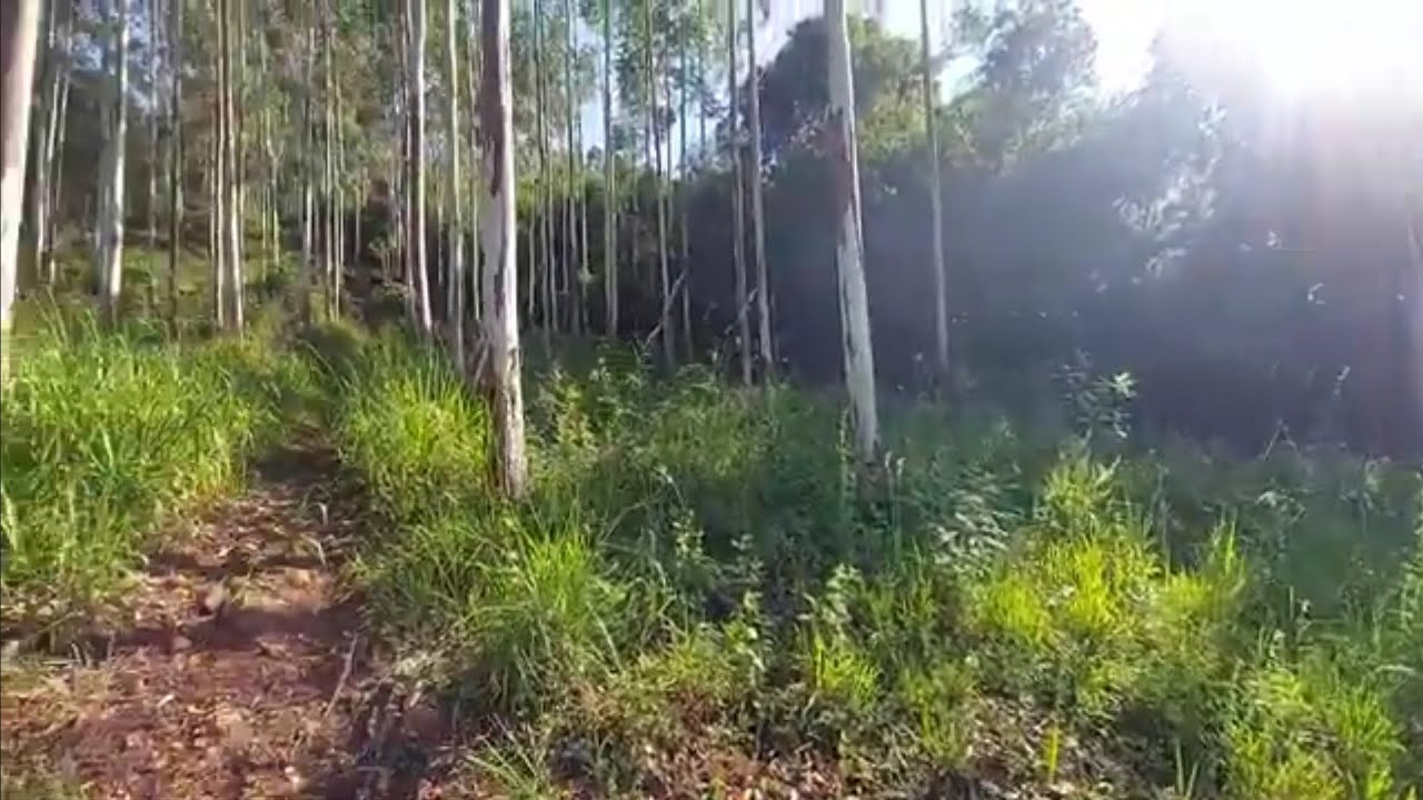 VEJA COMO FUI RECEBIDO NESSE LOCAL !!