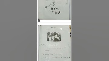 Ssc science 2 Paper solution 2022 Class 10 th Science 2 board question paper answers 30 March