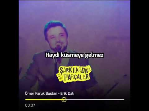 Ömer Faruk Bostan - Erik Dalı (instagram Kısa Şarkılar)