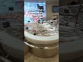 Fish Market ##Dubai
