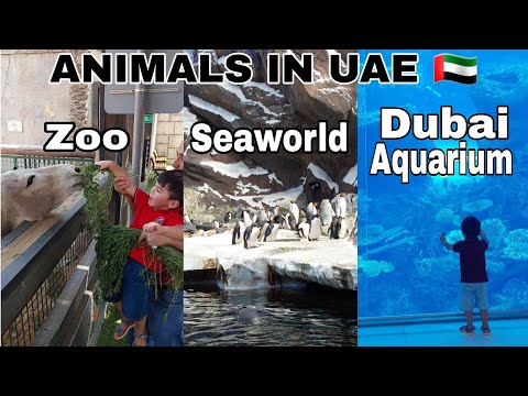 ANIMALS in UNITED ARAB EMIRATES | Emirates Park Zoo, Seaworld, Dubai Aquarium & in the Neighborhood