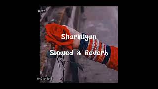 Phoulou | Wando Shariniyan | Song  | ( Slowed & Reverb ) Resimi