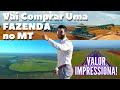 Gusttavo Lima Vai Comprar uma Fazenda Milionária no MT