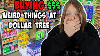 BUYING & TRYING Weird Things from the DOLLAR TREE! Aubrey SWIGART VLOG