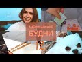 американские будни [12]/поступила в универ/американский макдональдс