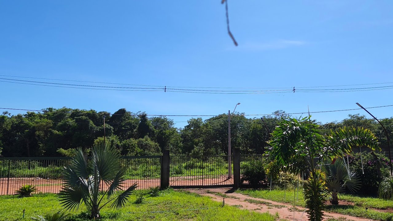 OQUE FIZEMOS COM A ROSA QUE O VENTO ARANCOR 😱🫣🧐