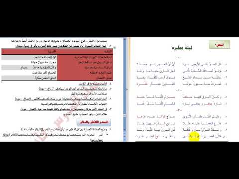 ليلة مطيرة تاسع فادي قطاع 4