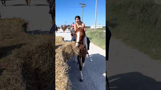 Did We Really Ride Horses into Battle? 😂#FunnyHistory #Horse #funny #foryou #for
