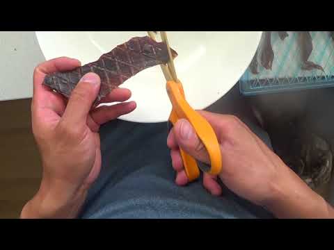 how-i-make-dog-treats-|-dehydrated-liver-goat-and-venison