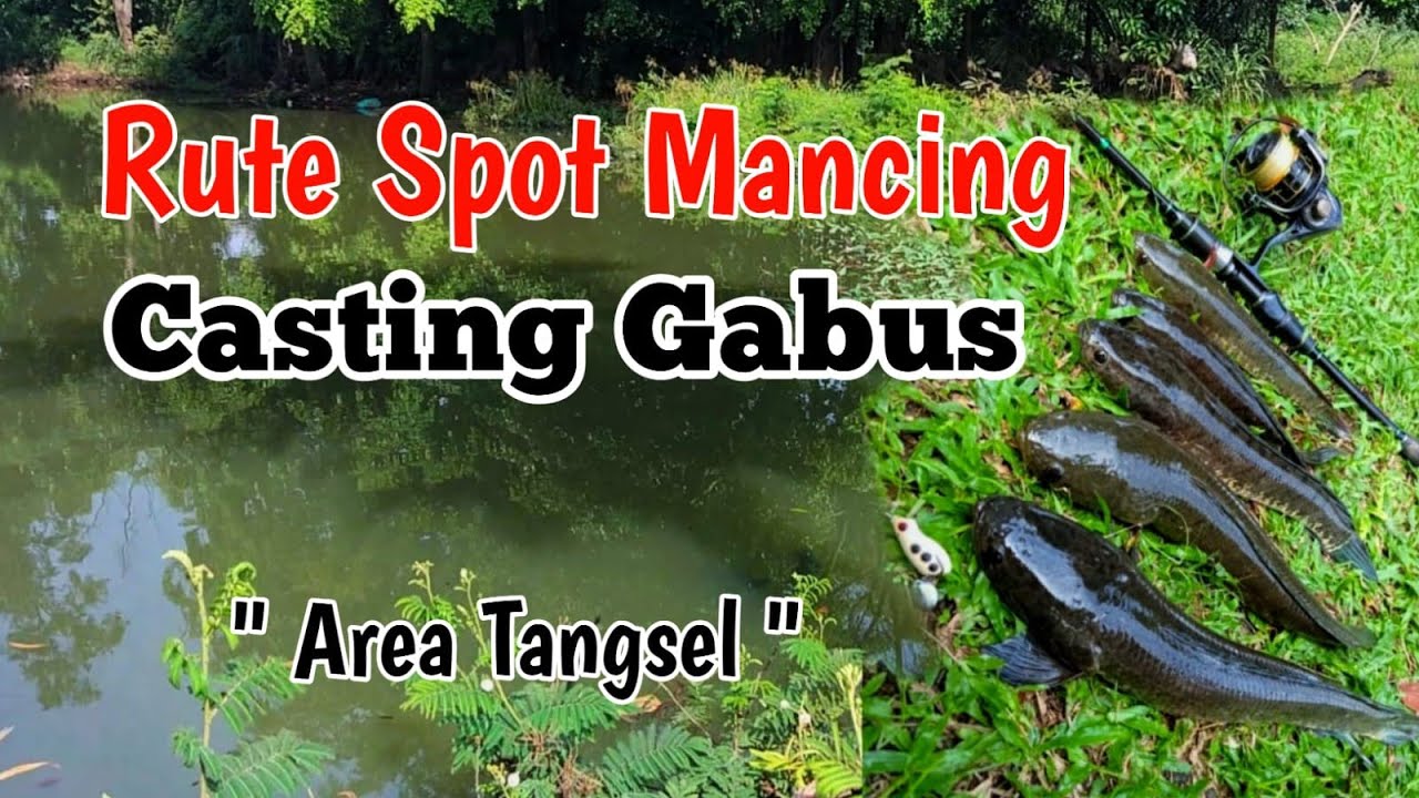 Rute Spot Mancing Tersembunyi Sekitar Tangsel @sahabatmancing4454 #rutespotmancing #mancingnila