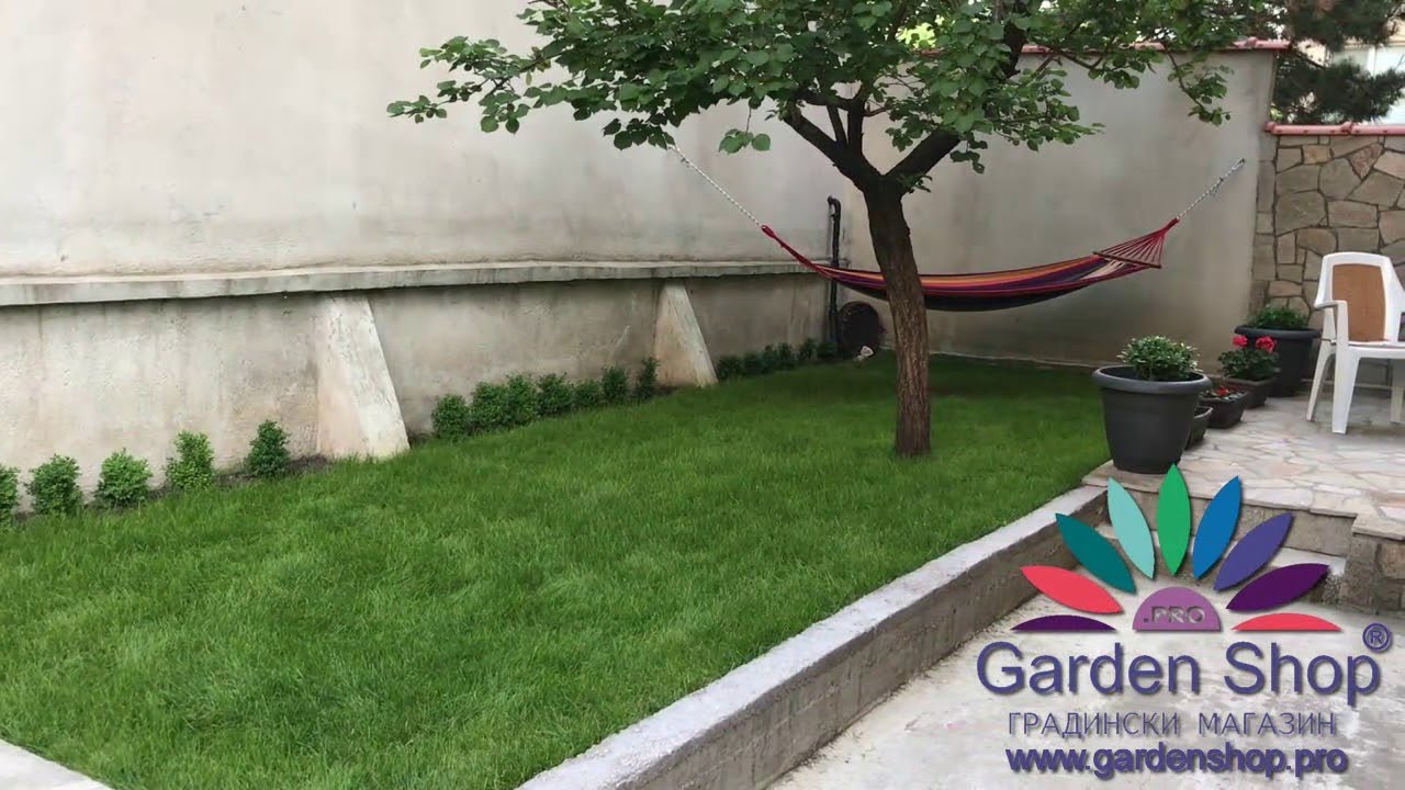 When to plant grass seed in Arkansas YouTube