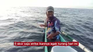 Download Lagu Ikannya campuran kecil dan besar bikin rinta sering putus  MP3