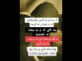 هونه رى به رسفداني