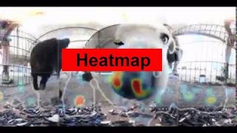 Travel Canada Heatmap from a  4k 360 video for viewing in Virtual Reality by This Is Me In VR