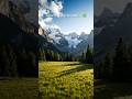 Relax With Nature 🌿| Nature Therapy 4K