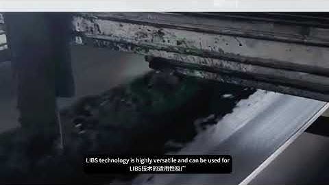 Laser-induced Breakdown Spectroscopy (LIBS) Online Elemental Analyzer by HOT Mining