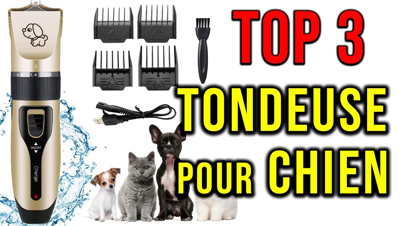 YISORA Tondeuse pour Chien/Chat, Tondeuse à cheveux pour animaux