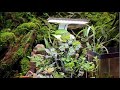 AquahobbyVLOG is live mini amazing luckpond