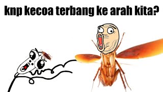 Kenapa kecoa terbang ke arah kita?