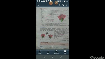 Class V EVS 28-04-2020 by Mr Rupesh