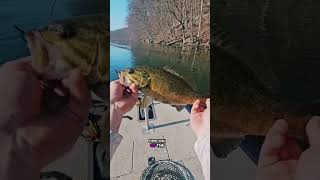 First Smallie