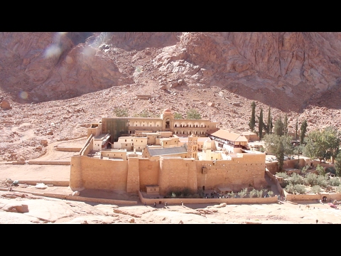 Monastero di Santa Caterina nel Sinai, un fiore nel deserto