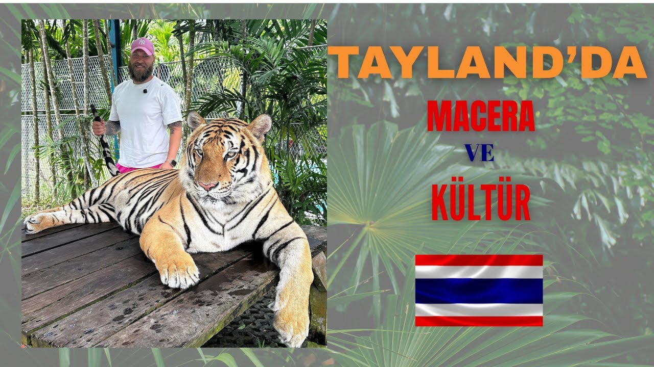 Tayland Kaplan Parkı ve Chalong Tapınağı Gezisi 🐅🙏