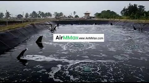 Dest solution for high density shrimp farming: nano bubble diffuser