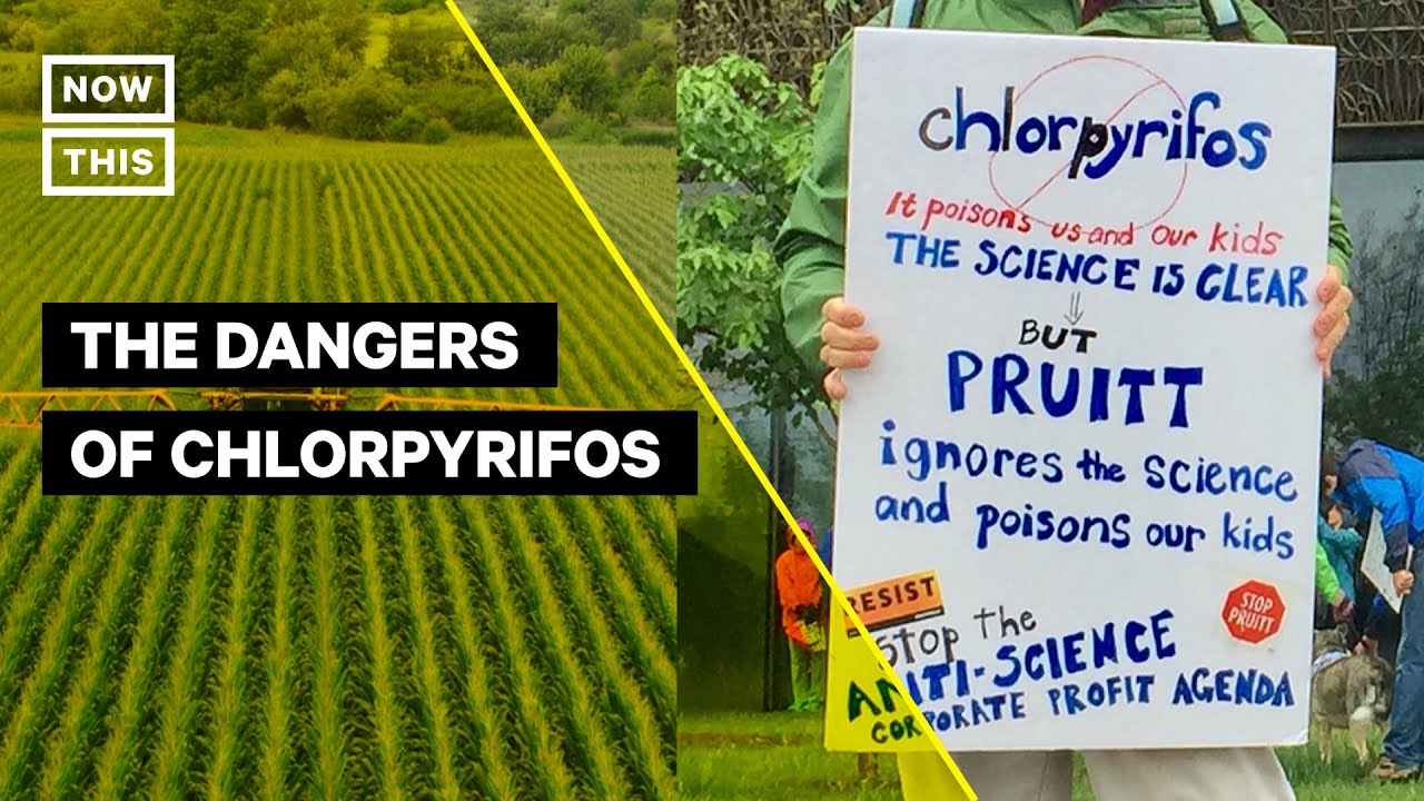 Toxic Pesticide Chlorpyrifos to Be Used Again on U.S. Crops