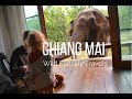 Wild Family Travels | Living with elephants in Chiang Mai