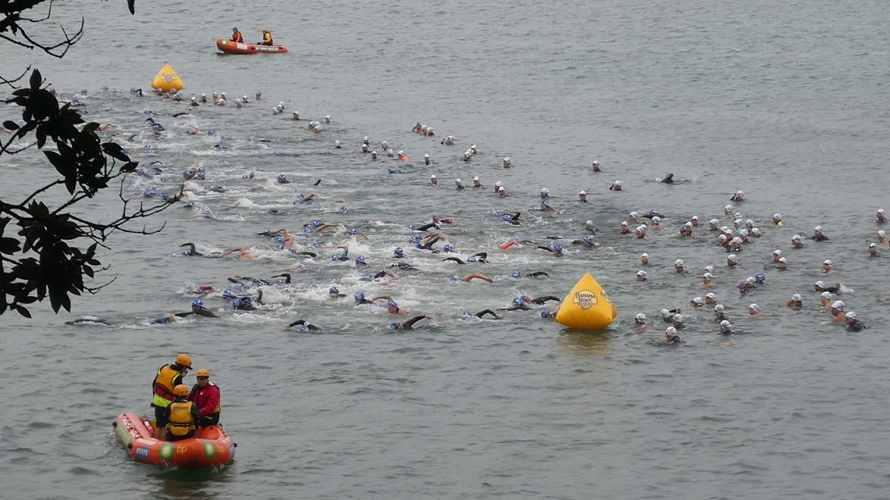 Auckland Harbour Bridge swim 6 April 2019 YouTube