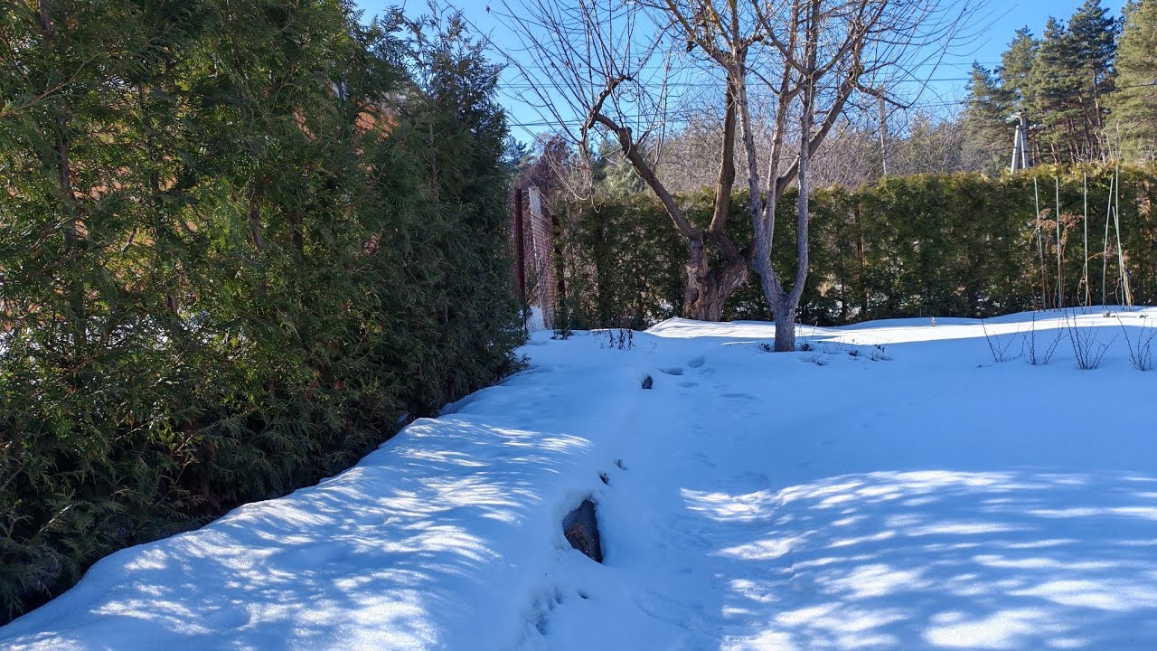 Дочекалися весни🌞Вітаю з 1 березня💐Перша поїздка на дачу в цьому році🌷Квітник на балконі підростає🌷