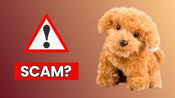 Milow Realistische Robot Puppy Review – Nep-AI-huisdierenzwendel onthuld!!