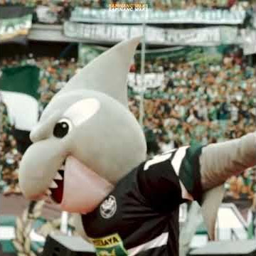 STORY WA PERSEBAYA SURABAYA BONEK BONITA KEREN🔥 ( GLORA BUNG TOMO SURABAYA )