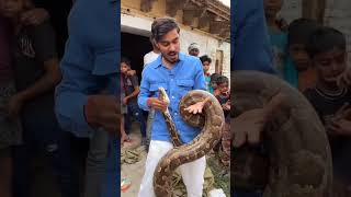 Famous Indian  rock  python #comedy #funny Profile