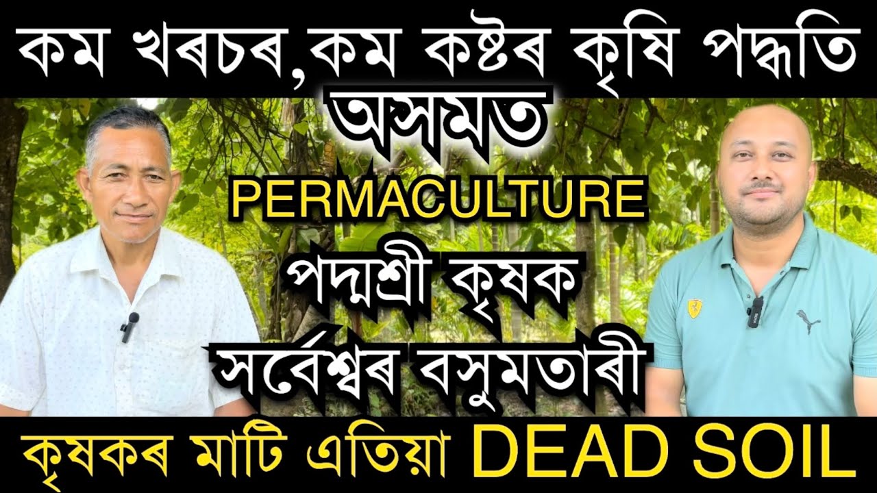 Permaculture কম খৰচৰ,কম কষ্টৰ কৃষিপদ্ধতি।Assam Farmer Padmashree Sarbeswar Basumatary। Pranjal Gogoi