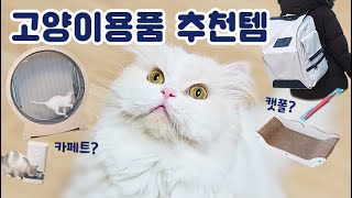 2022 Favorites🌟Korean Cat Products Review
