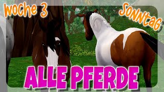 ALLE 4 PFERDE SONNTAG - WOCHE 3 🐴 WESTERN CAMP 2024 GUIDE ✨ | Star Stable [SSO]