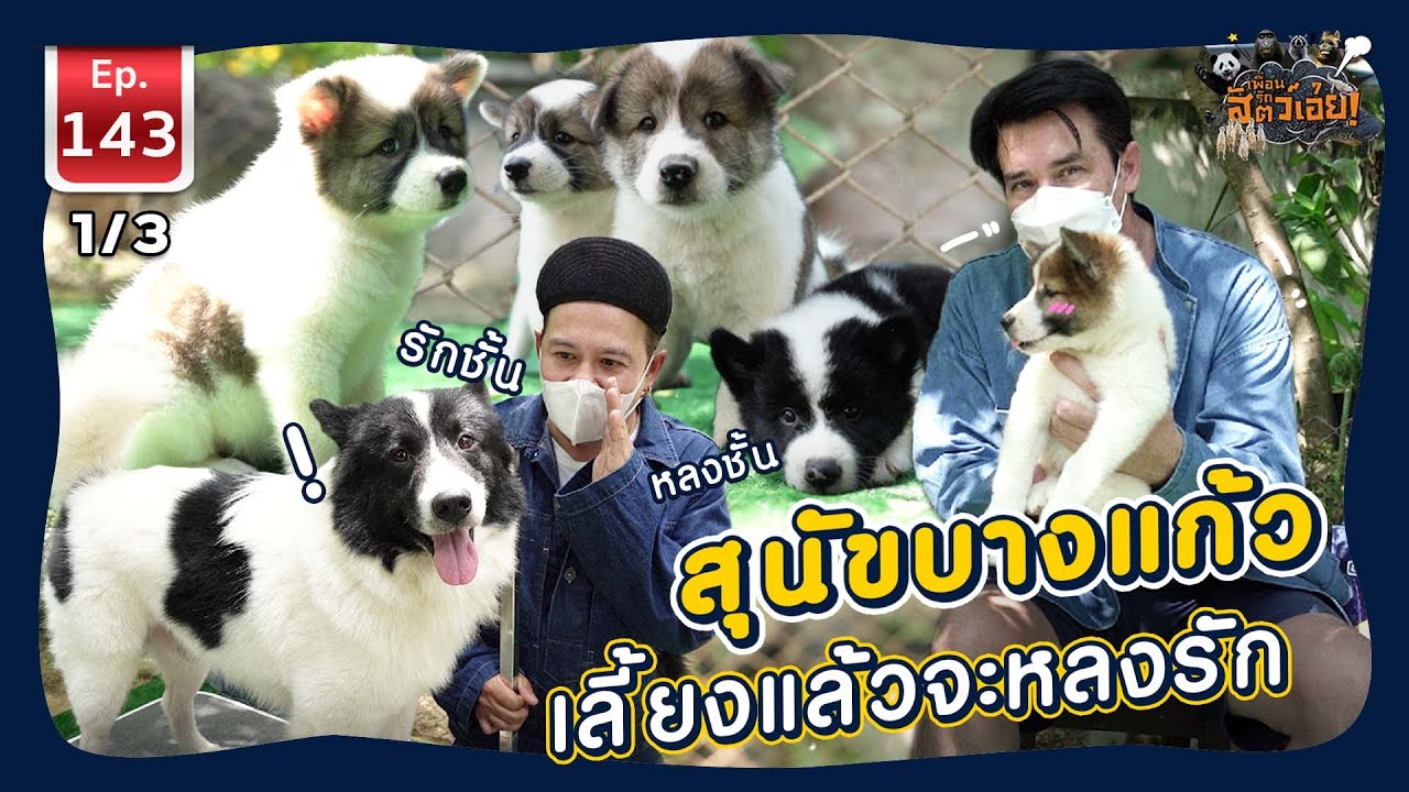 Original Title & Thumbnail