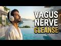 EVERYTHING FLOWS TO ME | NO INSTRUCTION NEEDED | Vagus Nerve Deep Cleanse