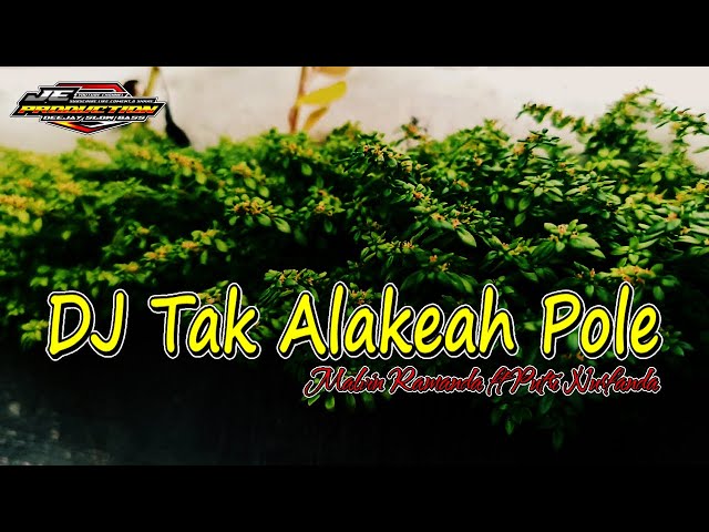 DJ Tak Alakeah Pole Bass Horeg class=