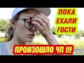 #83 Из Германии в Россию/ 35 гостей приехали 🫣