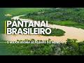 5 minutos sobre o Pantanal Brasileiro