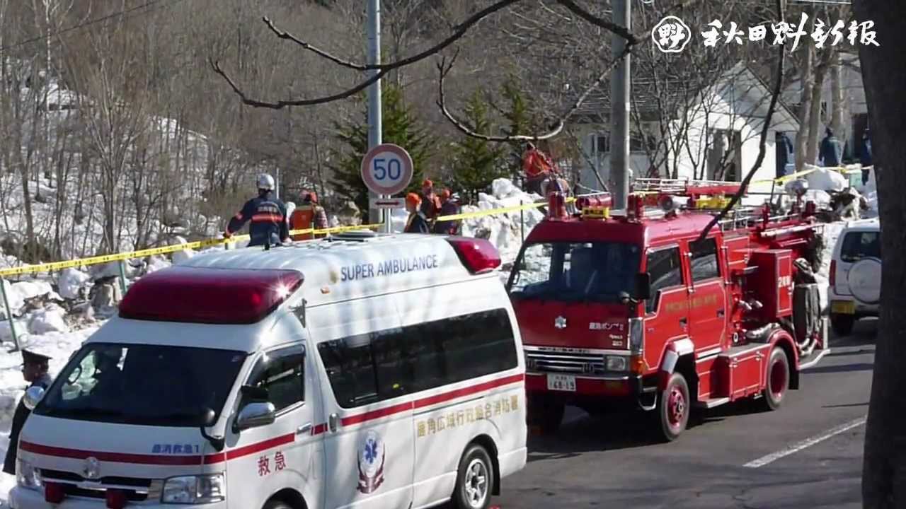 クマ牧場で従業員2人死亡 Youtube クマ牧場で従業員2人死亡 Youtube