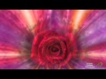 Miniature de la vidéo de la chanson Waltz Of Love