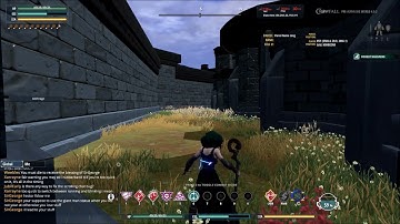 Crowfall - Pre-Alpha - Druid Blink Rubberband Workaround
