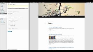 Wordpress RSS Multi Importer - Customize the styling of your template