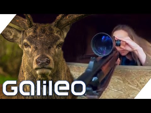 Frag eine Jägerin: Wie gut ist Wildfleisch? | Galileo | ProSieben