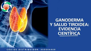 Reishi y Salud Tiroidea: Evidencia Científica | DXN